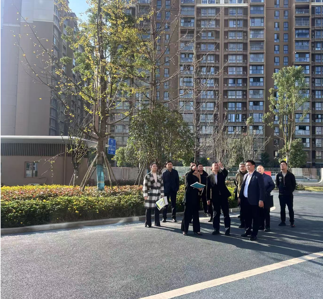 副市長徐春龍調(diào)研德陽市老年養(yǎng)護(hù)院、德陽市民政精神衛(wèi)生福利機(jī)構(gòu)項(xiàng)目建設(shè)工作